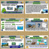 Shipwrecked Geography Survival Challenge | Adapt and Modify Activity | Google