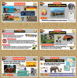 Ivory Wars in Africa 6-E Lesson | Elephant Poaching and Conservation | Microsoft